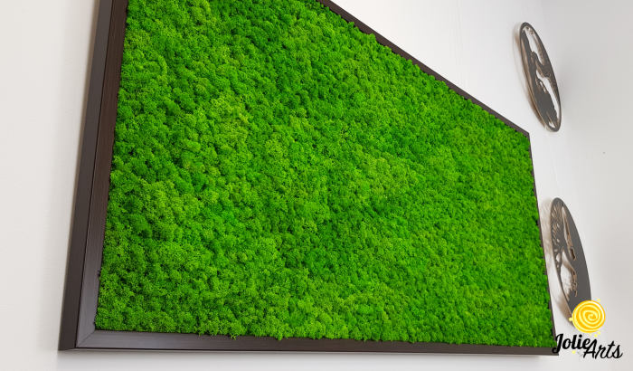 Tablou licheni naturali stabilizați verde deschis – Jolie Arts [6]