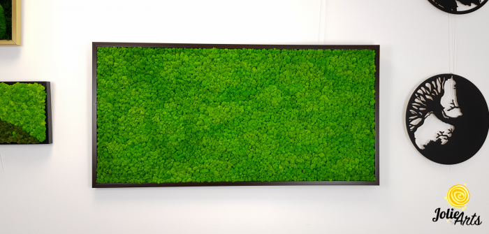 Tablou licheni naturali stabilizați verde deschis – Jolie Arts [4]
