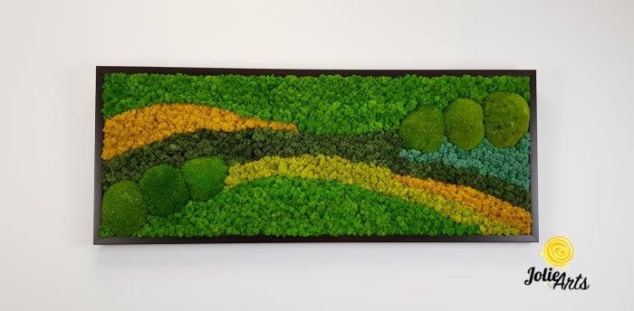 Tablou licheni, muschi bombati, Jolie Arts, model Pacific [3]