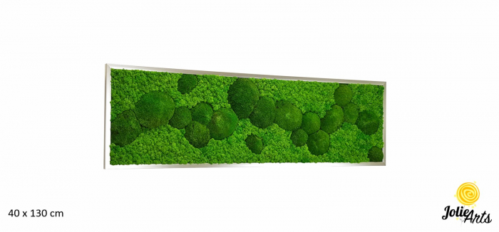 tablou licheni si muschi bombati stabilizati verde deschis Jolie Arts [2]