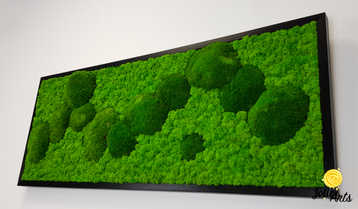 tablou licheni si muschi bombati stabilizati verde deschis Jolie Arts [5]