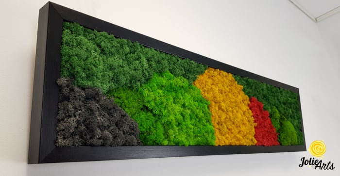 Tablou licheni si muschi naturali stabilizati, Model Jamaica, dimensiune 50 x 150 cm, rama neagra-2 [5]