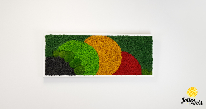 Tablou Jamaica cu mușchi bombat și licheni naturali [3]