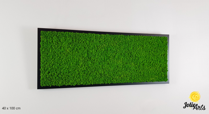 Tablou licheni stabilizați culoare verde deschis – Jolie Arts [1]