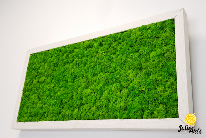 Tablou licheni stabilizați culoare verde deschis – Jolie Arts [6]