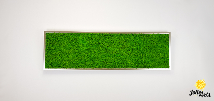 Tablou licheni naturali stabilizati, culoare verde deschis, 40 x 130 cm, Jolie Arts, www.tablouriculicheni.ro-2 [4]
