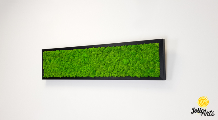 Tablou licheni stabilizați culoare verde deschis – Jolie Arts [4]