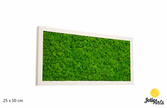 Tablou licheni stabilizați culoare verde deschis – Jolie Arts [1]