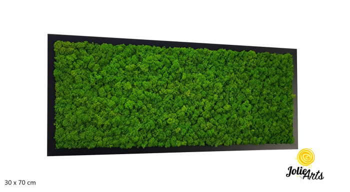 Tablou licheni stabilizați culoare verde deschis – Jolie Arts [1]
