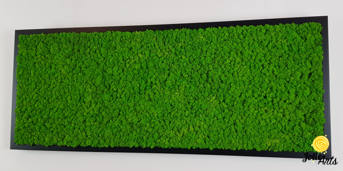 Tablou licheni stabilizați culoare verde deschis – Jolie Arts [4]