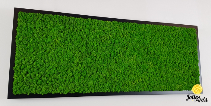Tablou licheni stabilizați culoare verde deschis – Jolie Arts [5]
