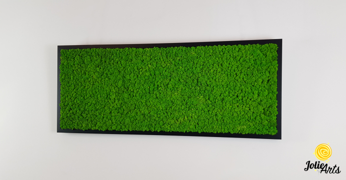 Tablou licheni stabilizați culoare verde deschis – Jolie Arts [2]