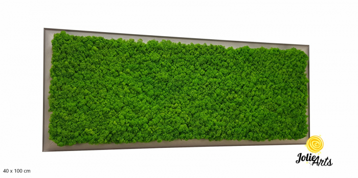 Tablou licheni verde deschis ramă gri profil plat – Jolie Arts [2]