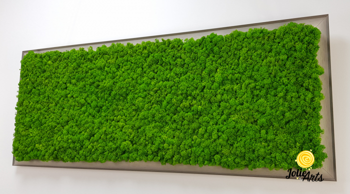 Tablou licheni verde deschis ramă gri profil plat – Jolie Arts [7]