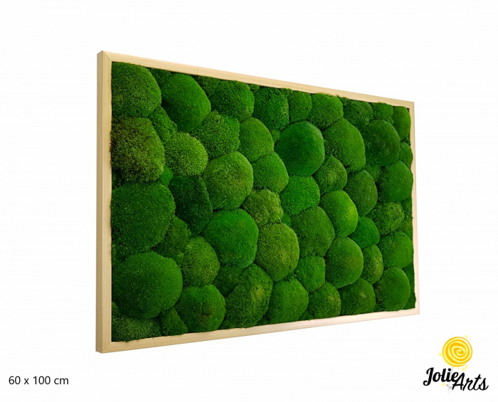 Tablou cu mușchi bombati naturali stabilizați, verde intens, decor bio, realizat manual [2]