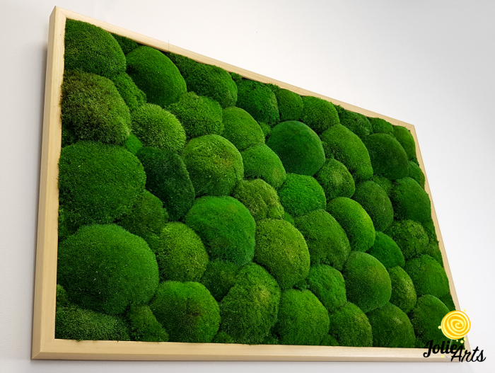 Tablou cu mușchi bombati naturali stabilizați, verde intens, decor bio, realizat manual [7]