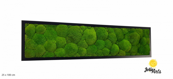 Tablou cu mușchi bombati naturali stabilizați, verde intens, decor bio, realizat manual [2]