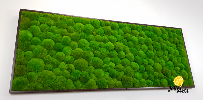 Tablou cu mușchi bombati naturali stabilizați, verde intens, decor bio, realizat manual [7]