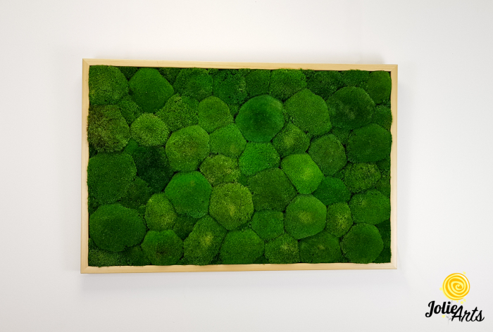 Tablou cu mușchi bombati naturali stabilizați, verde intens, decor bio, realizat manual [4]