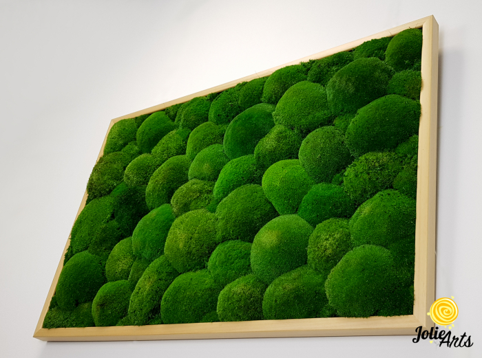 Tablou cu mușchi bombati naturali stabilizați, verde intens, decor bio, realizat manual [6]