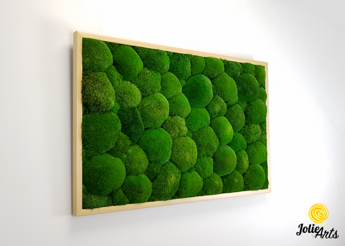 Tablou cu mușchi bombati naturali stabilizați, verde intens, decor bio, realizat manual [5]