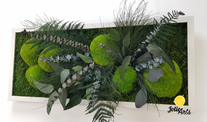 Tablou Mușchi și Plante Naturale Stabilizate Green Day [4]