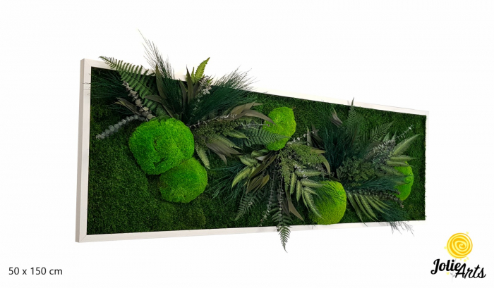 Tablou Mușchi și Plante Naturale Stabilizate Green Day [2]