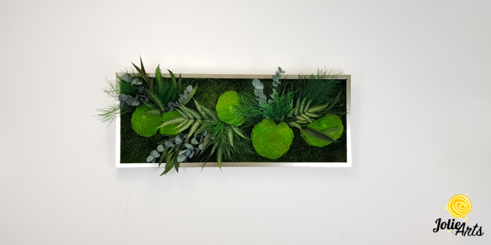 Tablou Mușchi și Plante Naturale Stabilizate Green Day [9]