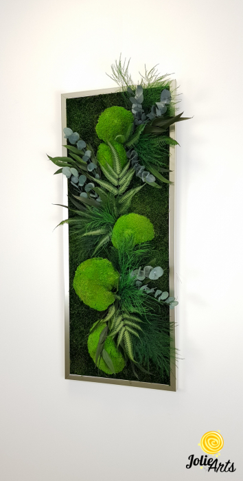 Tablou Mușchi și Plante Naturale Stabilizate Green Day [7]