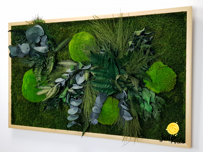 Tablou Mușchi și Plante Naturale Stabilizate Green Day [6]