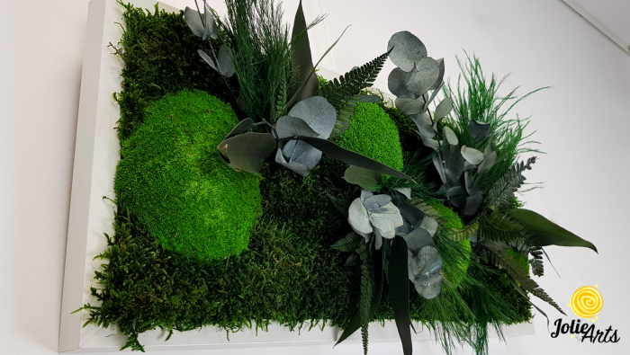 Tablou Mușchi și Plante Naturale Stabilizate Green Day [4]