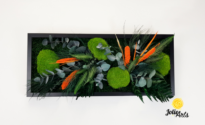 Tablou muschi si plante naturale stabilizate, Model Green Day - Orange touch [3]