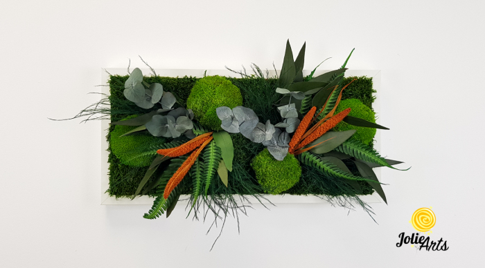 Tablou Green Day Orange Touch – Mușchi, plante și accente portocalii [3]