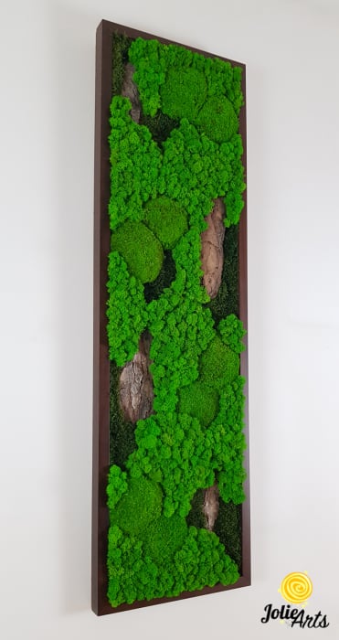 Tablou-Vertical-Licheni-Scoarta-Naturala.jpg [4]