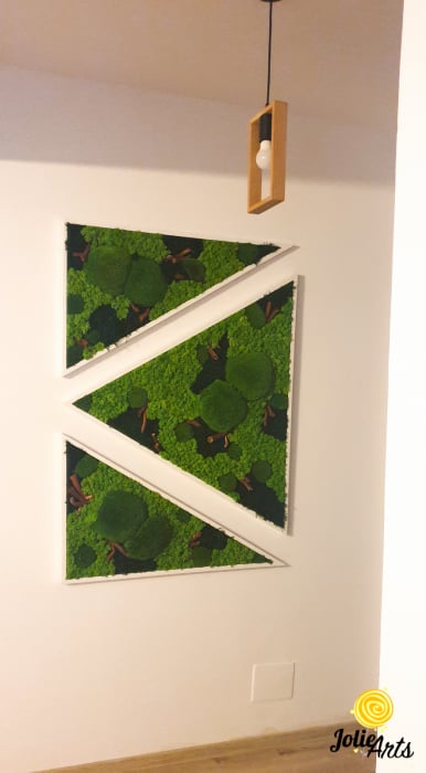 Tablouri cu licheni, muschi bombati, plante naturale stabilizate, set triunghiuri [6]