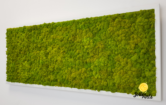 Verde Spring [7]