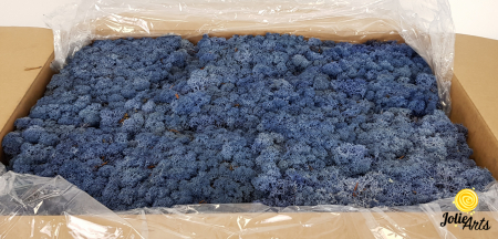 Licheni decorativi naturali stabilizati, culoare Albastru Azur, Azur Blue 86, Jolie Arts [0]