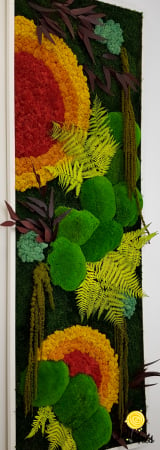Tablou licheni, muschi si plante stabilizate, Model Soare, design vertical, Jolie Arts [4]