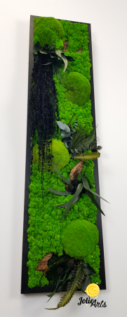 Amaranthus Negru / design vertical [6]