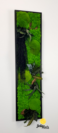 Amaranthus Negru / design vertical [5]