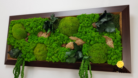 Tablou Amaranthus Verde Orizontal cu Ramă Patinată cu Inserții Aurii [3]