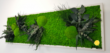 Tablou Green Day cu licheni naturali stabilizați – Jolie Arts [1]