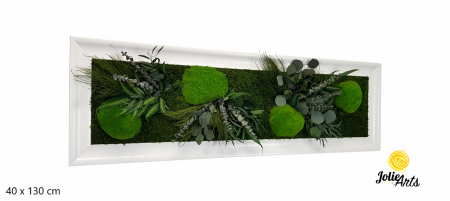 Tablouri - Tablou Green Day – Mușchi și Plante Naturale Stabilizate, Ramă Albă Lucioasă, Profil Lat