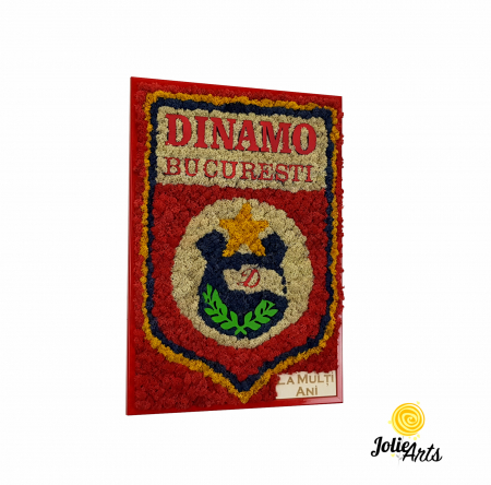 Logo-uri personalizate - Logo Dinamo cu licheni
