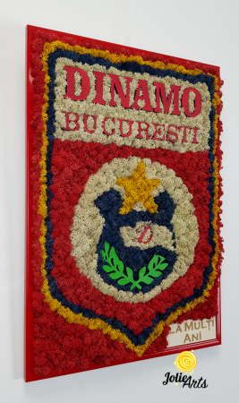 Logo Dinamo cu licheni [4]