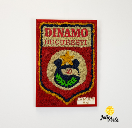 Logo Dinamo cu licheni [2]