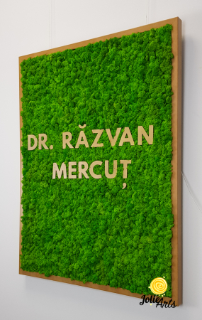 Logo Dr. R.M. decorat cu licheni naturali [5]