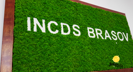 Logo INCDS BRASOV decorat cu licheni naturali stabilizati [5]