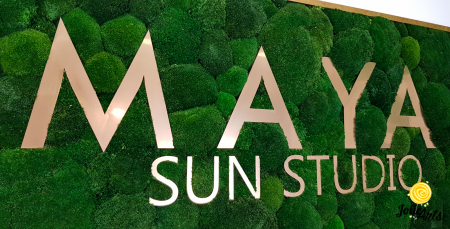 Logo Maya, dimensiune 60 x 120 cm,  muschi bombati verde inchis, Jolie Arts, www.tablouriculicheni.ro-7 [6]