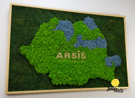 Logo Personalizat Arsis, Decorat cu Licheni si Muschi Plati, Naturali Stabilizati, Harta Romaniei [5]